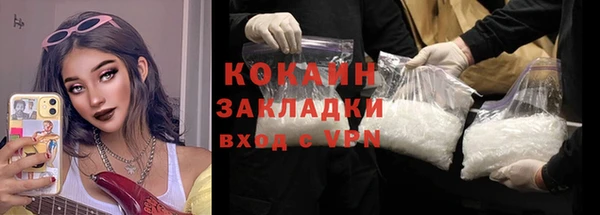 шишки Медногорск