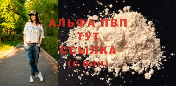 шишки Медногорск
