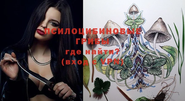 шишки Медногорск