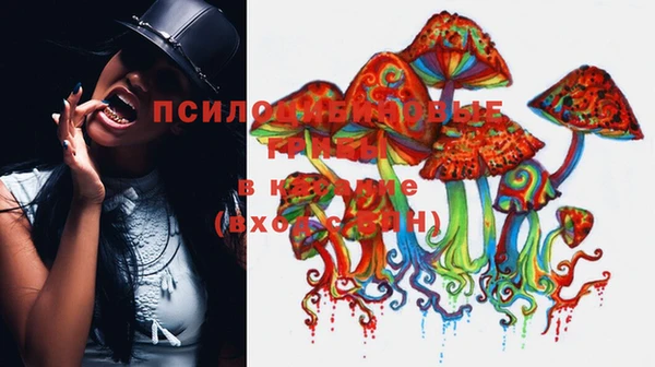 каннабис Медвежьегорск