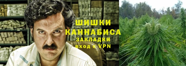 шишки Медногорск
