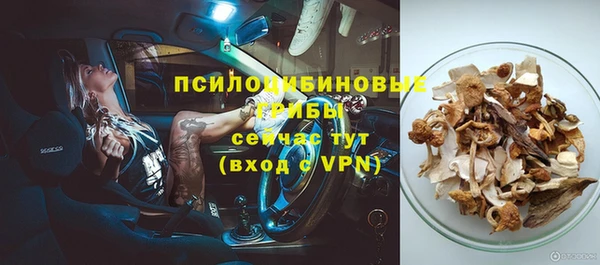 шишки Медногорск