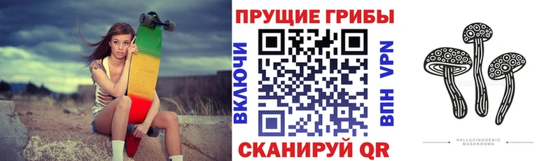 Купить  Чекалин  Псилоцибиновые грибы ЛСД 